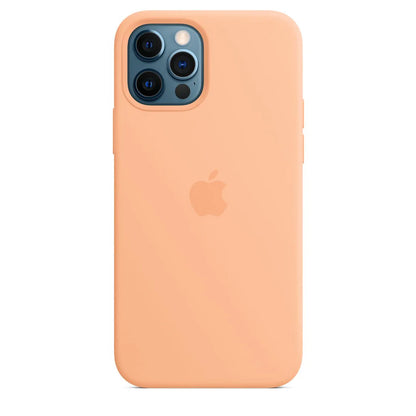 iPhone 12 Mini Leder Case mit MagSafe