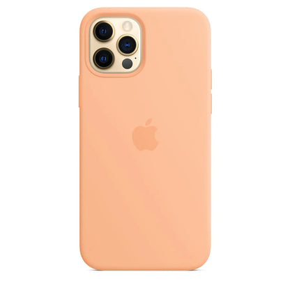 iPhone 12 Mini Leder Case mit MagSafe