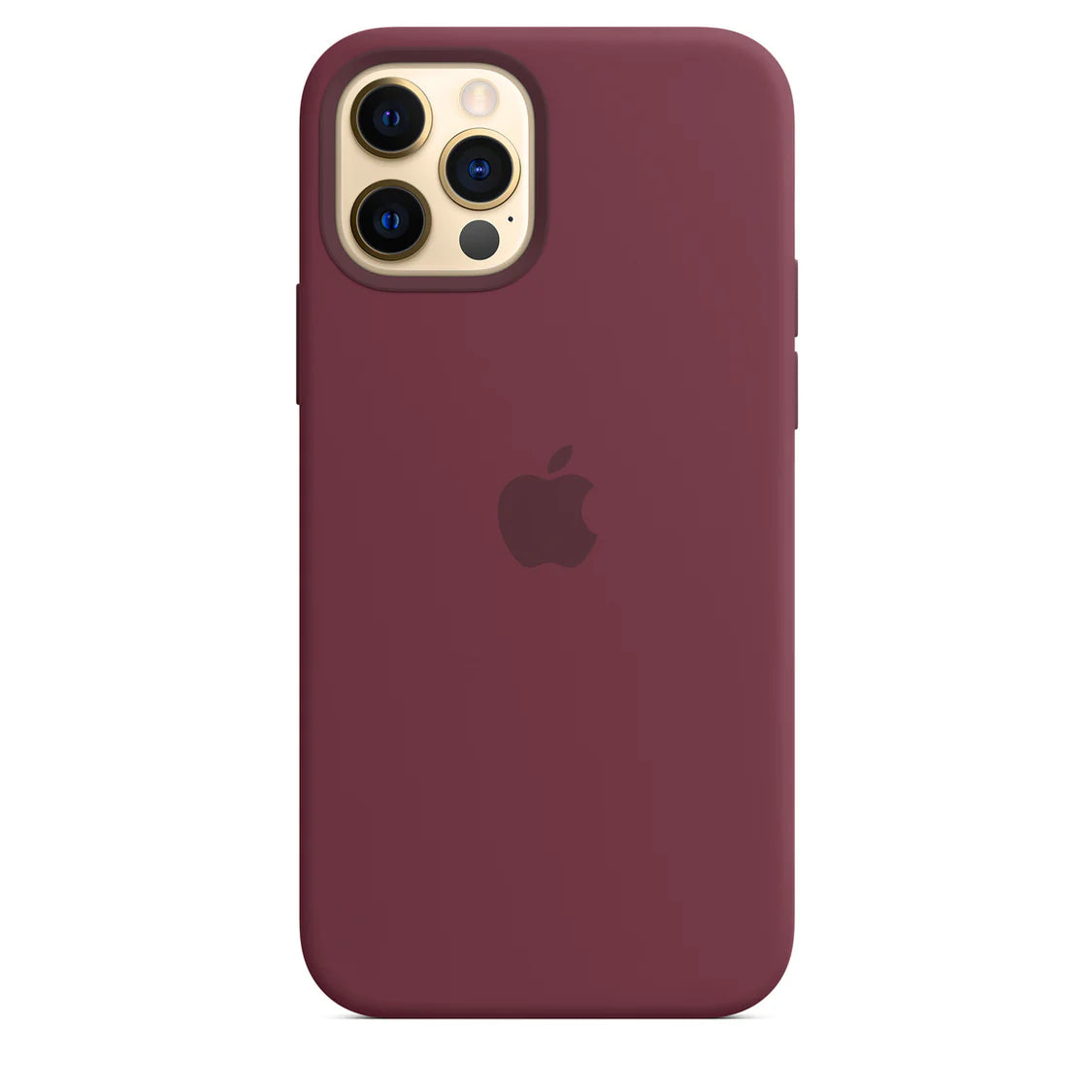 iPhone 12 Mini Leder Case mit MagSafe